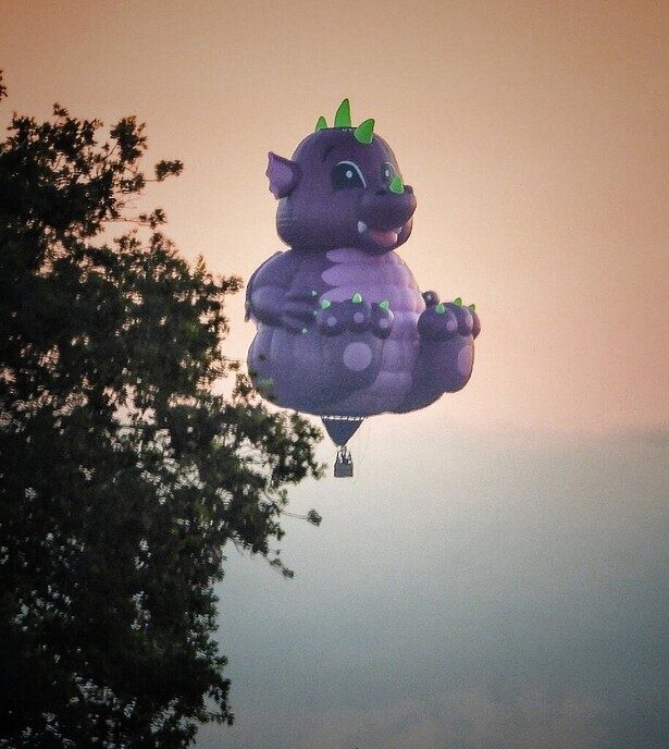 Ballonvaart Staphorst: nu met foto’s - Foto: Femmie Smink