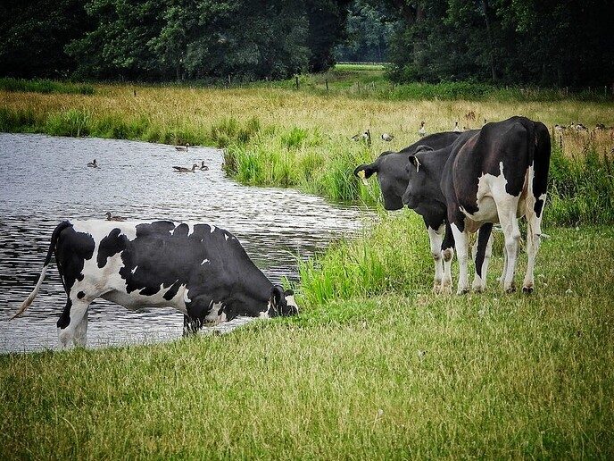 De Berg van Otten - Foto: Femmie Smink