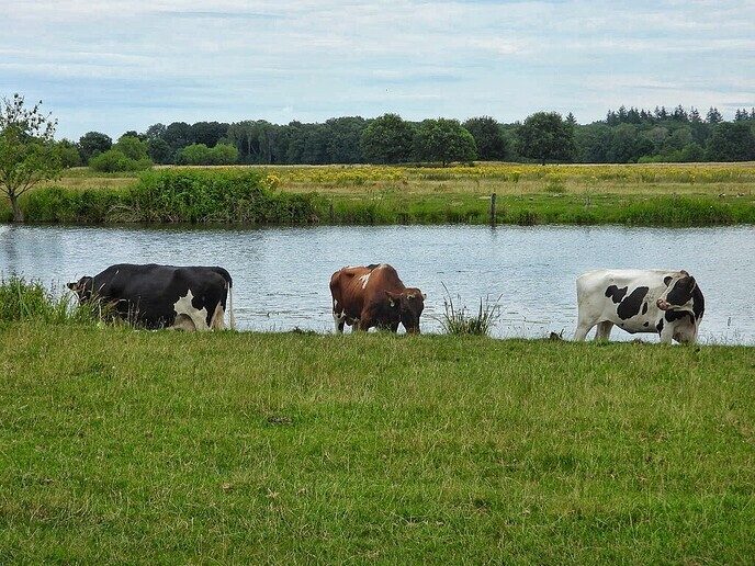 De Berg van Otten - Foto: Femmie Smink