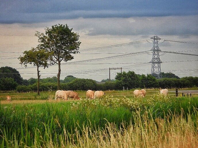 De Hessenpoort is veel meer dan alleen maar industrie - Foto: Femmie Smink