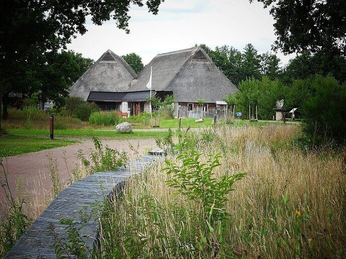 Hunebedden en Holteringerveld - Foto: Femmie Smink