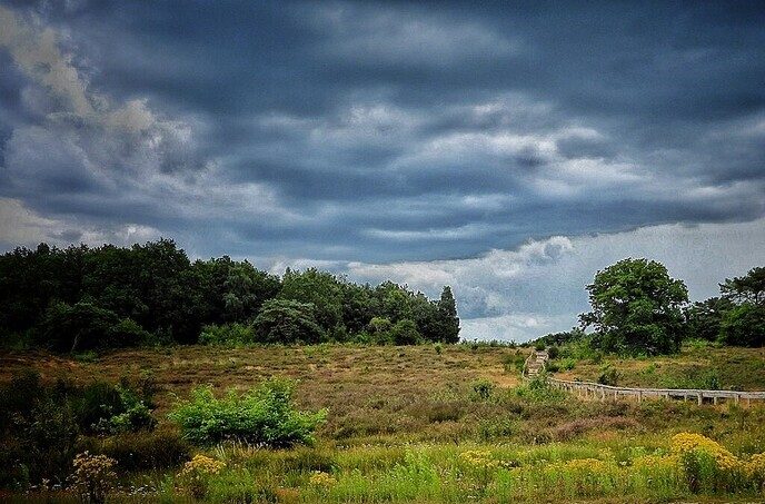 Hunebedden en Holteringerveld - Foto: Femmie Smink