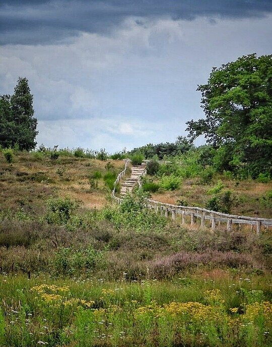 Hunebedden en Holteringerveld - Foto: Femmie Smink