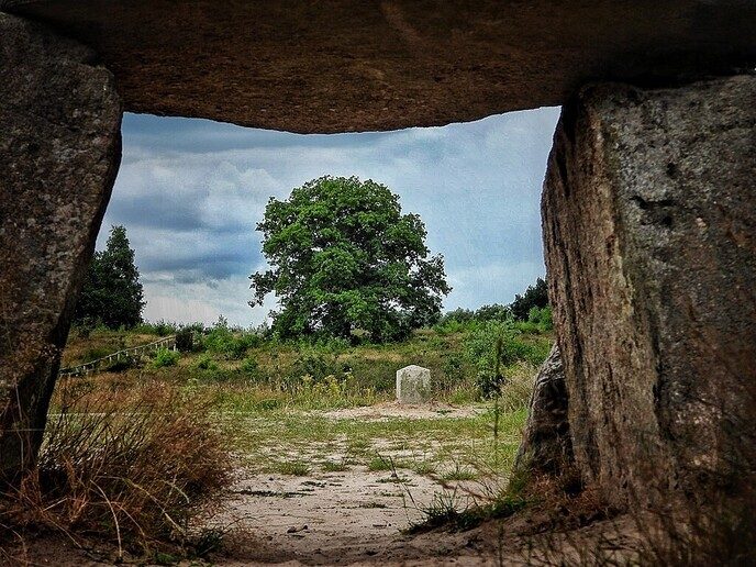 Hunebedden en Holteringerveld - Foto: Femmie Smink