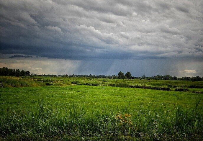 Hunebedden en Holteringerveld - Foto: Femmie Smink