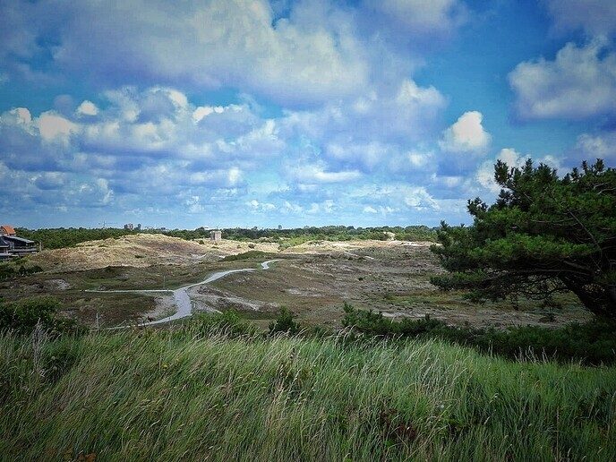 Vakantie foto’s bij Lange Jaap in de buurt - Foto: Femmie Smink