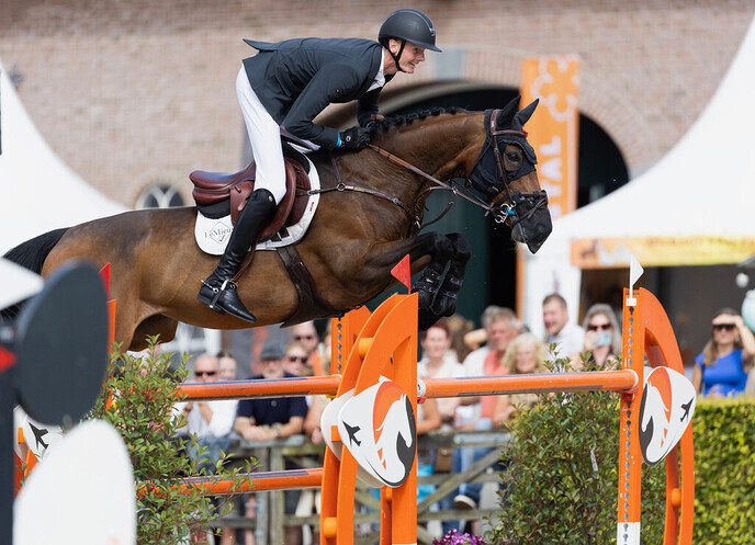 Internationale ruiters leggen nieuw talent vast via Schuttert Sport Sales - Foto: Ingezonden foto
