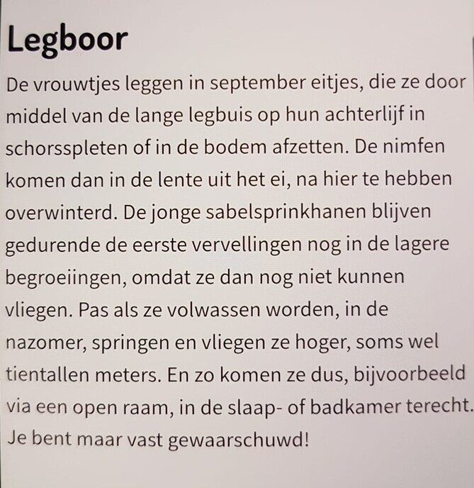Laten we het eens over de haan hebben - Foto: Femmie Smink