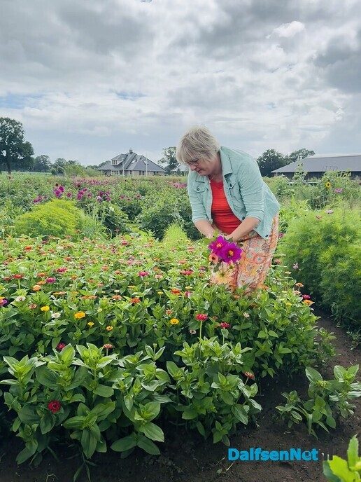 Al 25 jaar bloemen en planten bij Schiphorst - Foto: Ingezonden foto