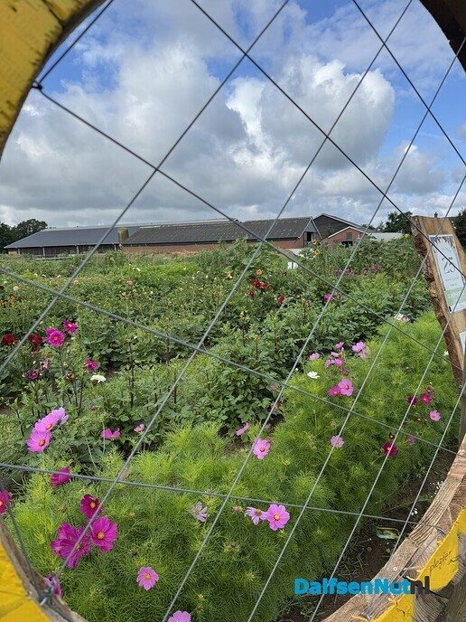 Al 25 jaar bloemen en planten bij Schiphorst - Foto: Ingezonden foto