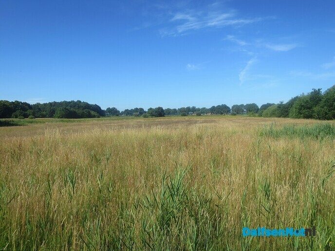 Nu eens wandelen buiten de regio; Westerwolde - Foto: Wim