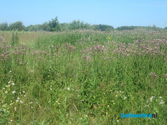 Nu eens wandelen buiten de regio; Westerwolde - Foto: Wim