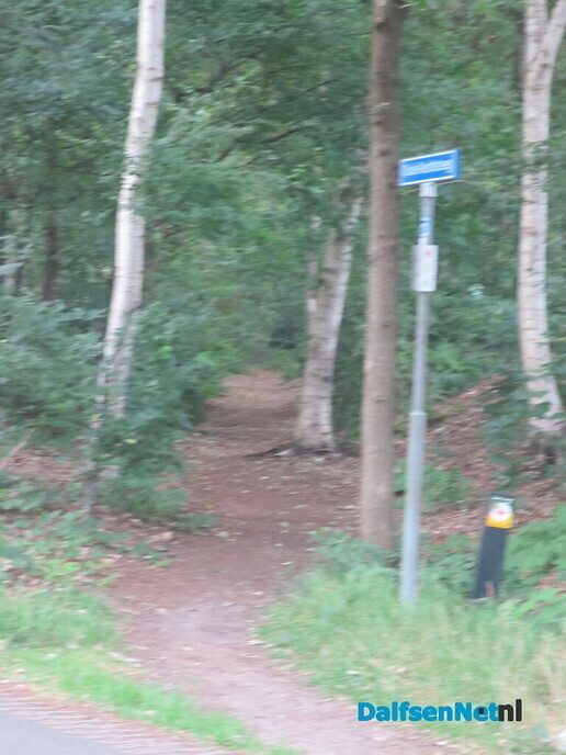 Het paard wijst de wandelrichting aan via de Koningsweg - Foto: Wim
