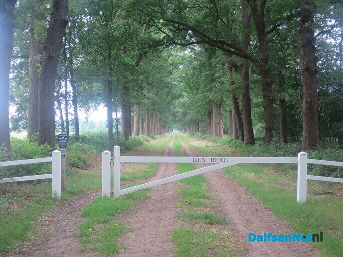 Het paard wijst de wandelrichting aan via de Koningsweg - Foto: Wim