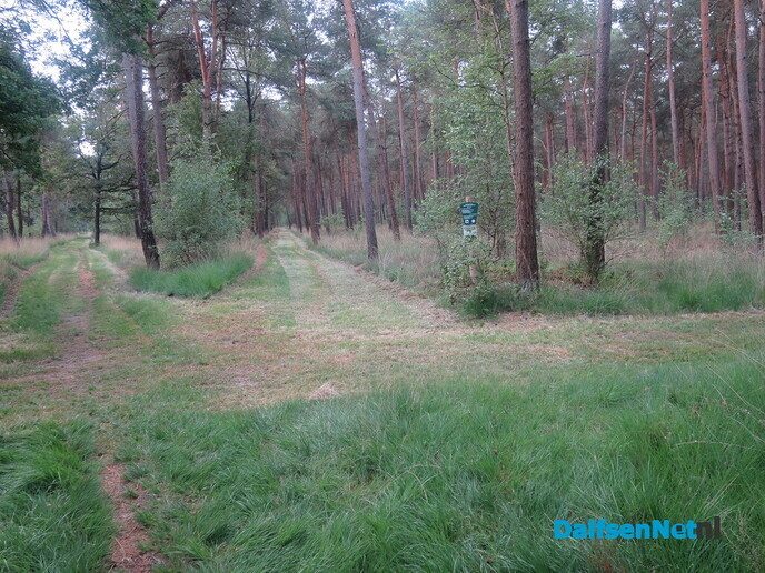 Het paard wijst de wandelrichting aan via de Koningsweg - Foto: Wim