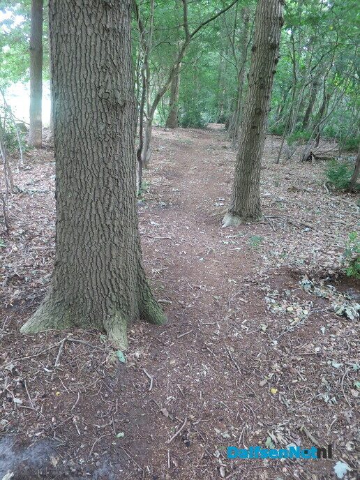 Het paard wijst de wandelrichting aan via de Koningsweg - Foto: Wim
