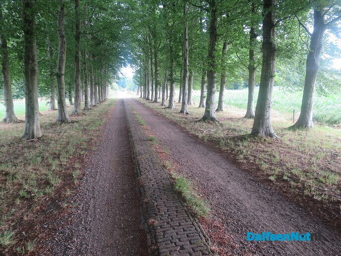 Het paard wijst de wandelrichting aan via de Koningsweg - Foto: Wim