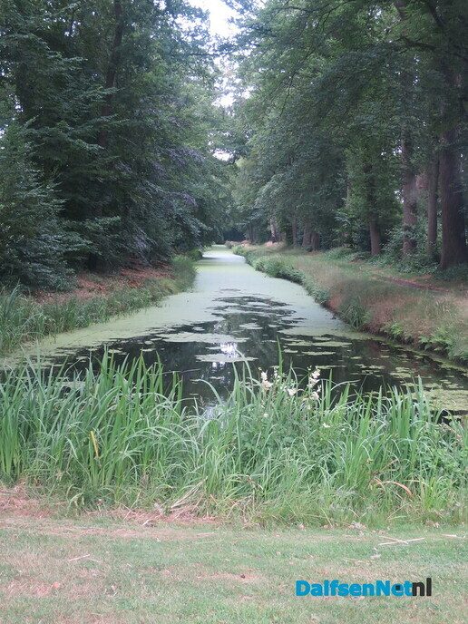 Het paard wijst de wandelrichting aan via de Koningsweg - Foto: Wim