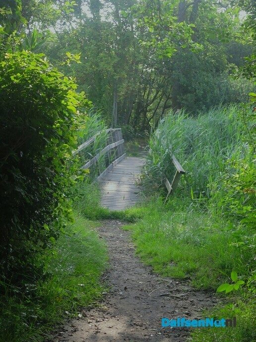 Wandelen rond de Reest in Oud Avereest - Foto: Wim