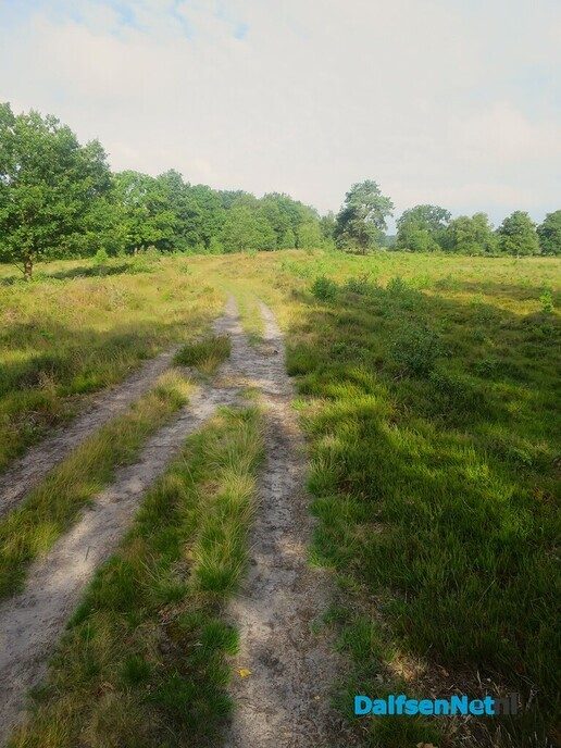 Wandelen rond de Reest in Oud Avereest - Foto: Wim