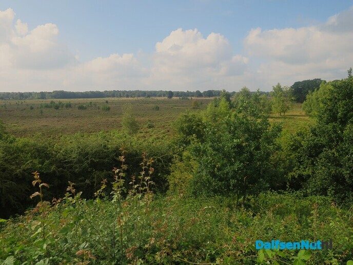 Wandelen rond de Reest in Oud Avereest - Foto: Wim