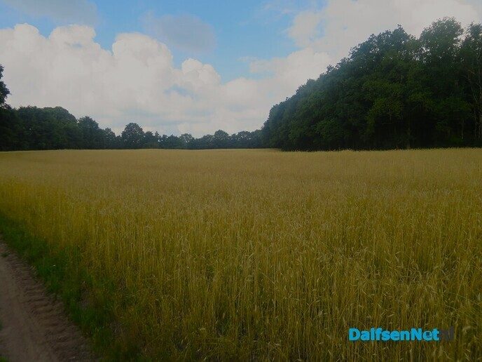Wandelen rond de Reest in Oud Avereest - Foto: Wim