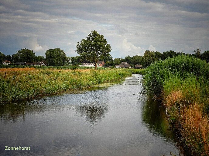 Of het dicht bij huis ook mooi is? Reken er op - Foto: Femmie Smink