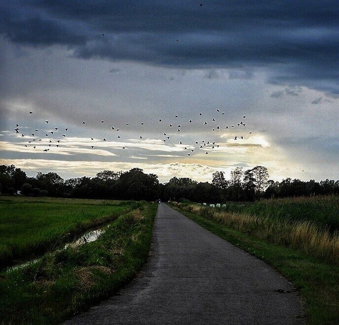 Hunebedden en Holteringerveld - Foto: Femmie Smink