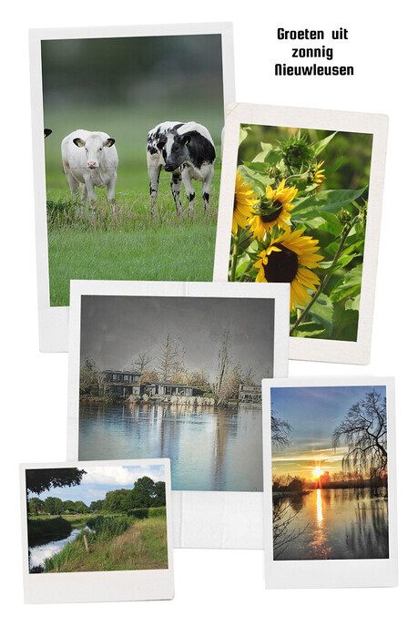 Een vakantie groet - Foto: Ingezonden foto