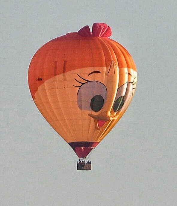 Ballonvaart Staphorst: nu met foto’s - Foto: Femmie Smink