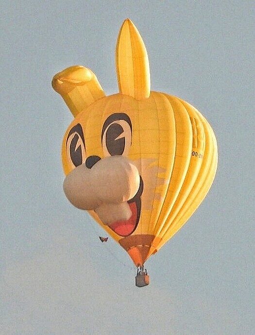 Ballonvaart Staphorst: nu met foto’s - Foto: Femmie Smink
