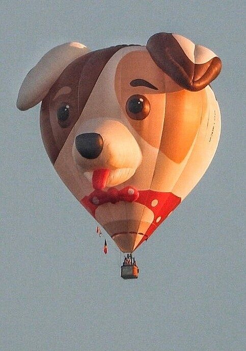 Ballonvaart Staphorst: nu met foto’s - Foto: Femmie Smink
