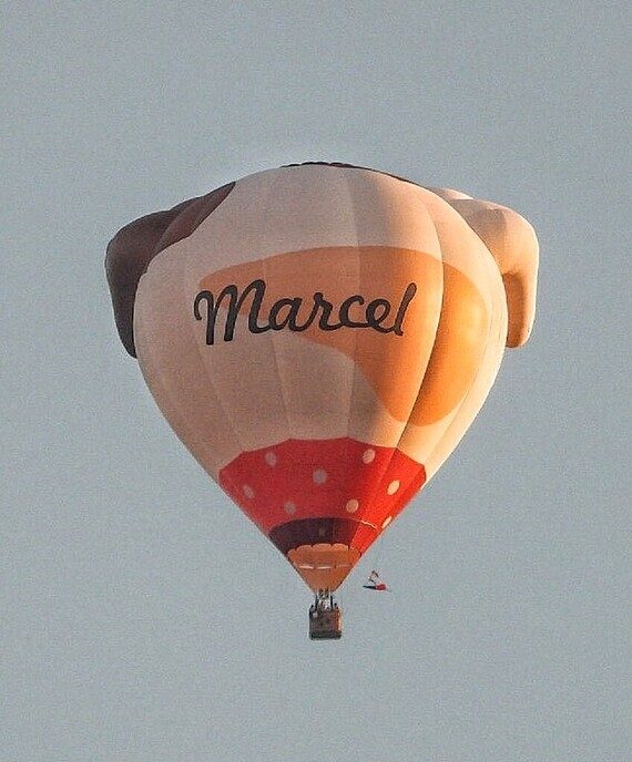 Ballonvaart Staphorst: nu met foto’s - Foto: Femmie Smink