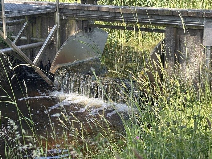 Watersysteem stabiel, maar onder druk - Foto: Ingezonden foto