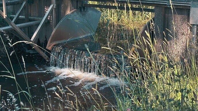 Nederlandse zomer zet door, ook in Dalfsen - Foto: Ingezonden foto