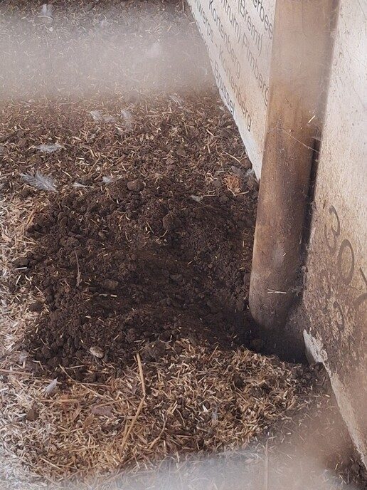 Inzender: is dit werk van een rat - Foto: Ingezonden foto