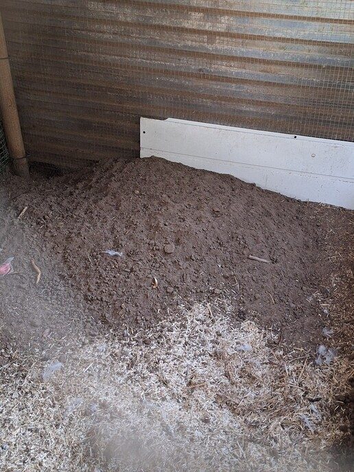 Inzender: is dit werk van een rat - Foto: Ingezonden foto