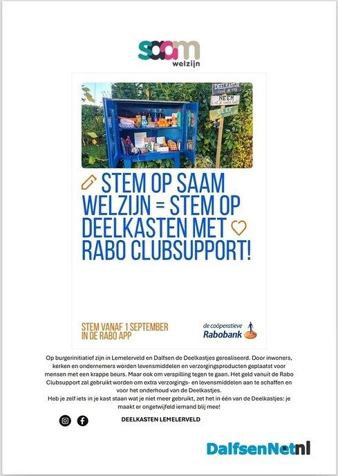 Stem op deelkasten Dalfsen en Lemelerveld - Foto: Ingezonden foto