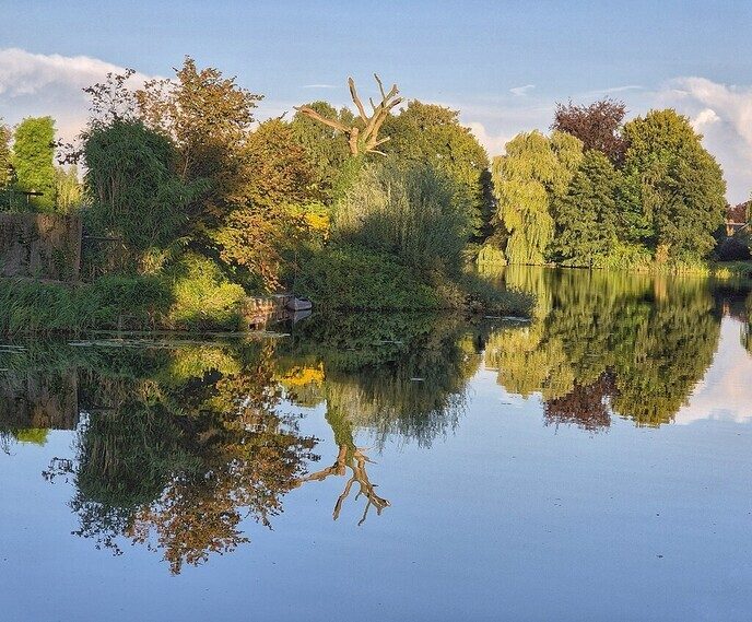 Spiegelglad of dubbelop - Foto: Femmie Smink