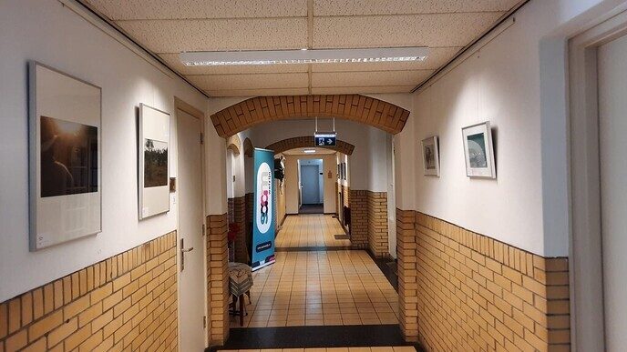Nieuwe expositie in ‘de Olmen’ - Foto: Ingezonden foto