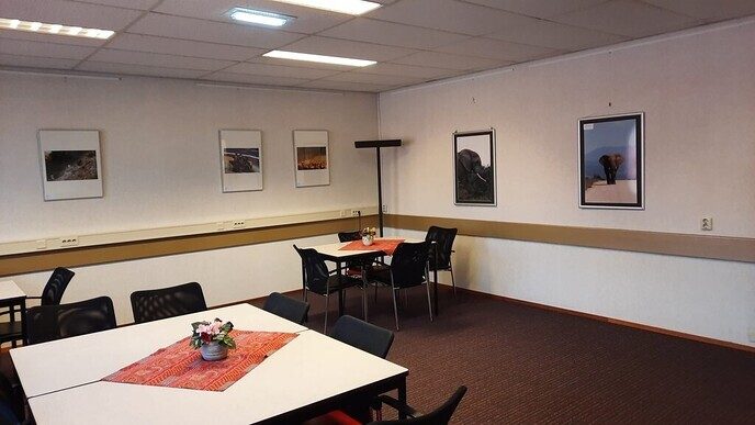 Nieuwe expositie in ‘de Olmen’ - Foto: Ingezonden foto