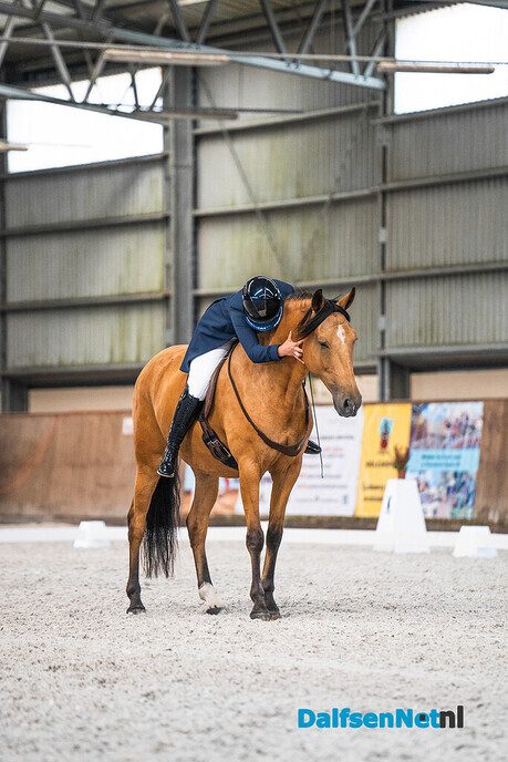 Wereldkampioenschap hoofdstelloos dressuur 2025 - Foto: Ingezonden foto