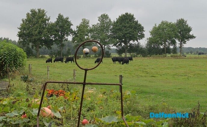 Festival de Vecht: een dag vol verhalen, muziek en beleving - Foto: Johan Bokma