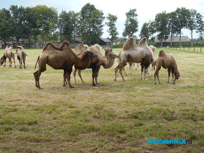 Gelijk maar even de omgeving verkennen - Foto: Willy