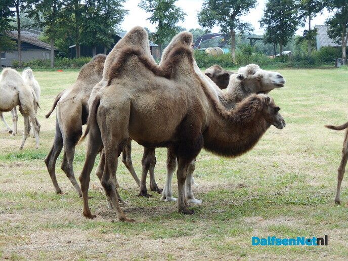 Gelijk maar even de omgeving verkennen - Foto: Willy
