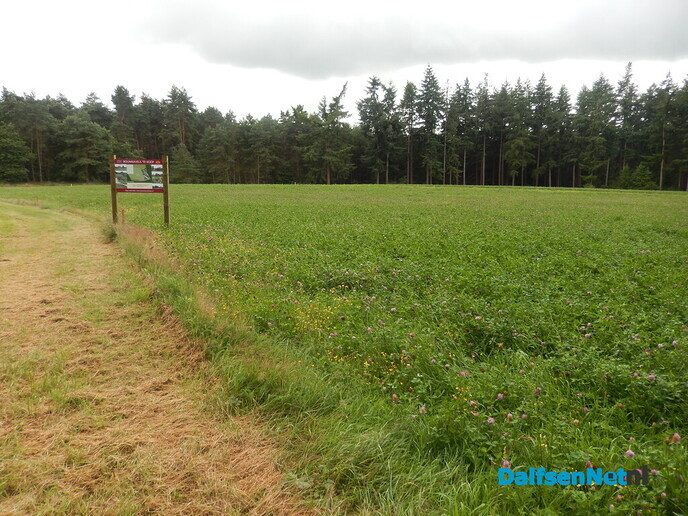 Bouwkavel(s) te koop Schaapskooiweg - Foto: Willy