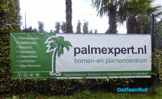 Palmexpert bomen- en plantencentrum, tussen Vilsteren en Ommen - Foto: Willy