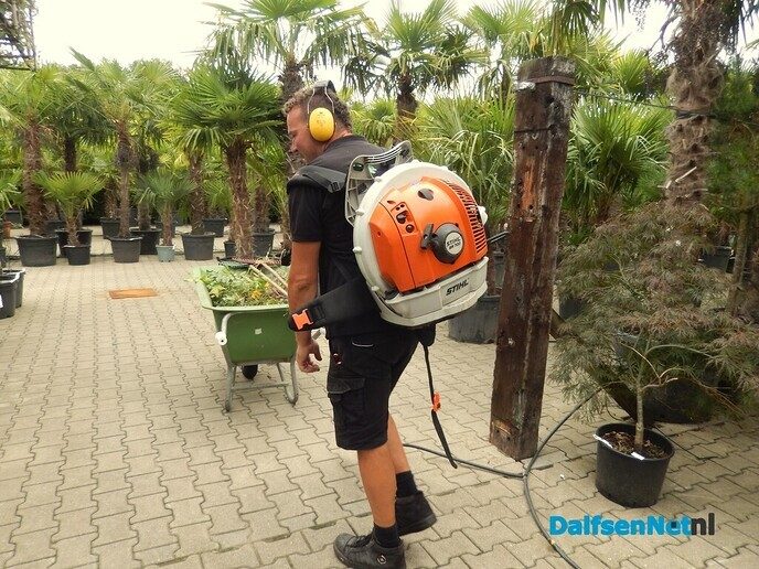 Palmexpert bomen- en plantencentrum, tussen Vilsteren en Ommen - Foto: Willy