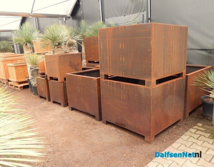 Palmexpert bomen- en plantencentrum, tussen Vilsteren en Ommen - Foto: Willy
