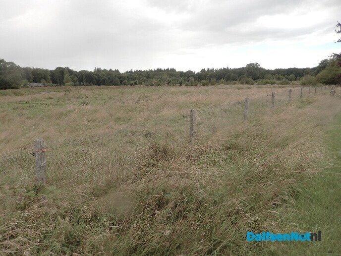 Gewoon een boerenverstand, voorkomt een grote bosbrand - Foto: Willy